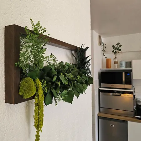 Gîte Bornéo, avec parking securisé Apartamento *