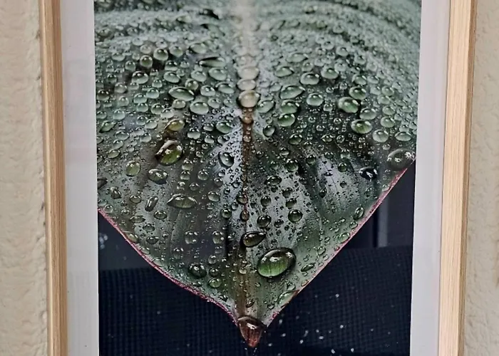 Côté Terre, Avec Piscine Chauffée * La Roche-sur-Yon